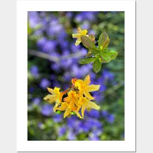 Spring Flowers Posters and Art